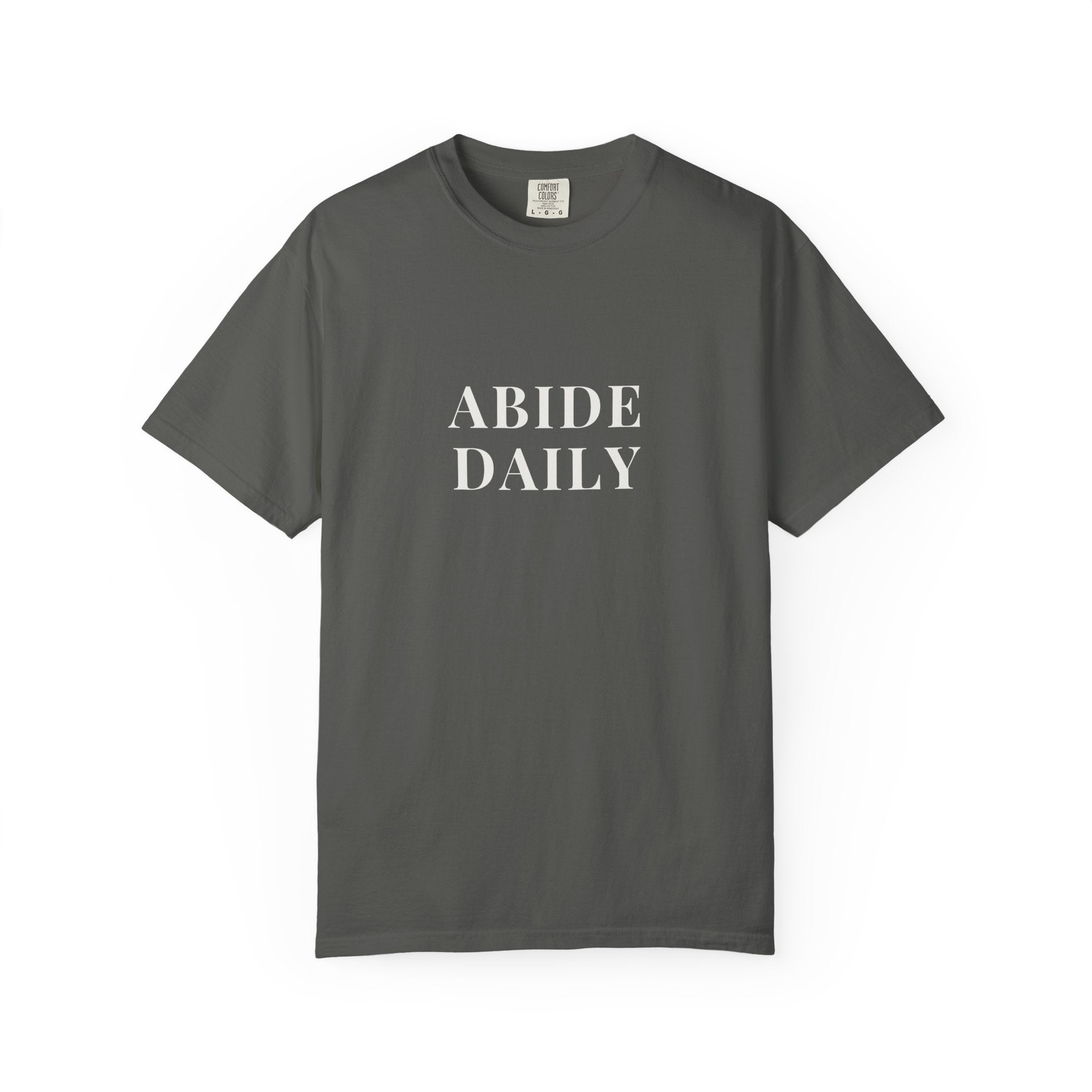ABIDE DAILY — Micro Chest Christian T-Shirt